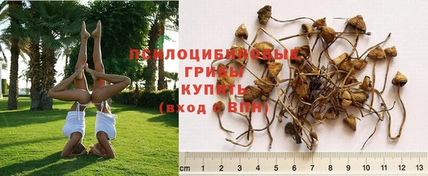 MESCALINE Михайловск